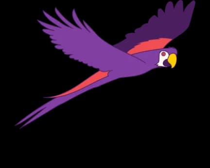 A purple parrot flying in the sky